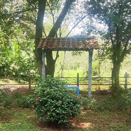 Hotel Maguey Tigre  ภายนอก รูปภาพ