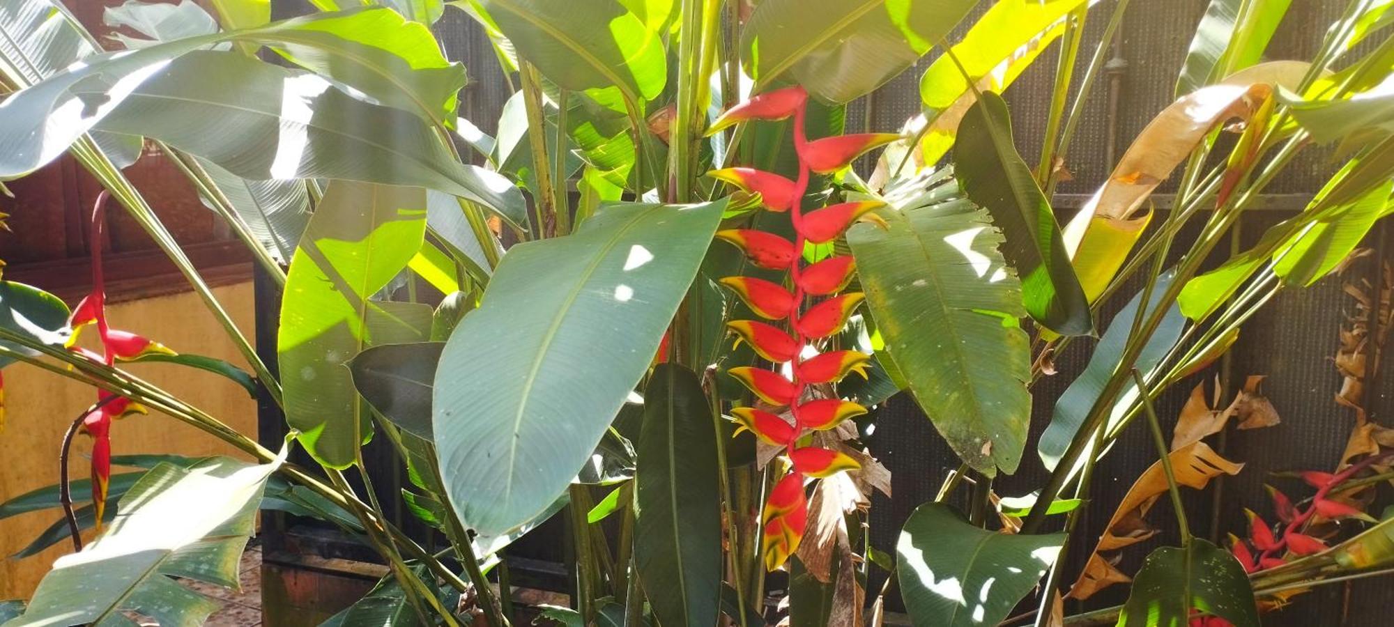 Hotel Maguey Tigre  ภายนอก รูปภาพ