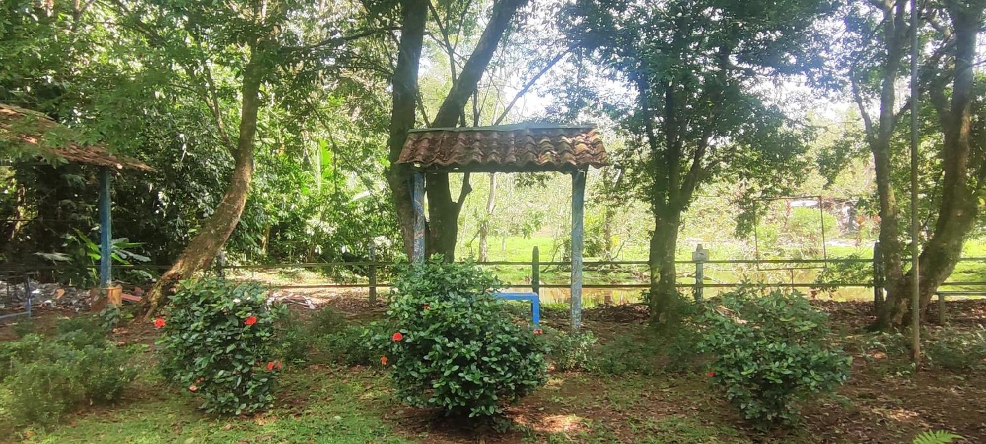 Hotel Maguey Tigre  ภายนอก รูปภาพ